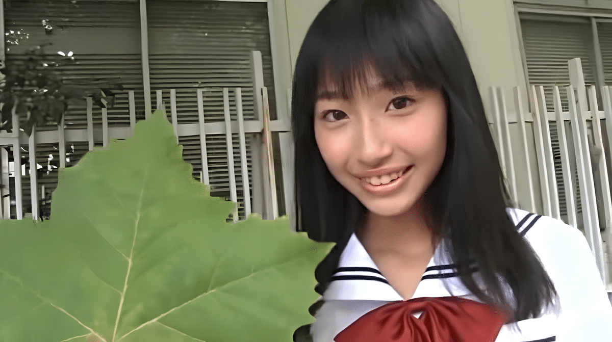 髙野渚プロフィール