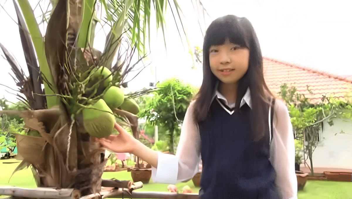 もも色シグナル：小林桃華